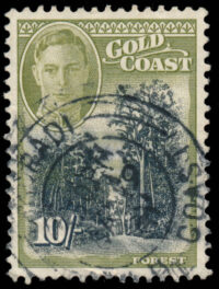 Gold Coast Sc#141